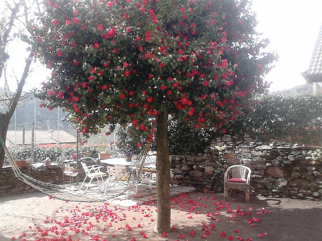 B&B Il Castello Lago Maggiore Con Terrazza Cossogno Zewnętrze zdjęcie
